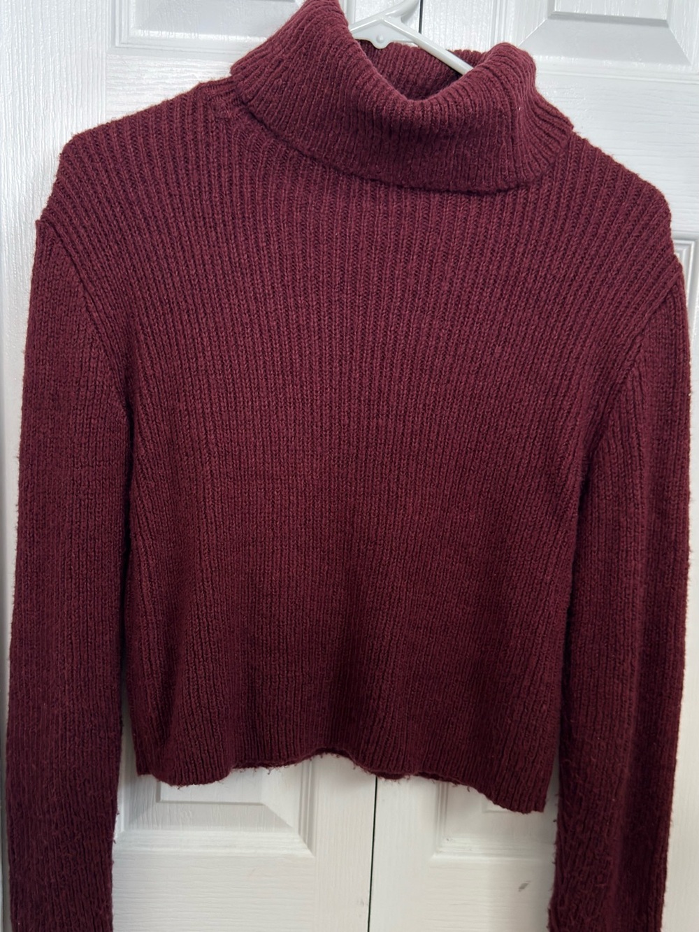 Dynamite Wine Ribbed Turtleneck Sweater